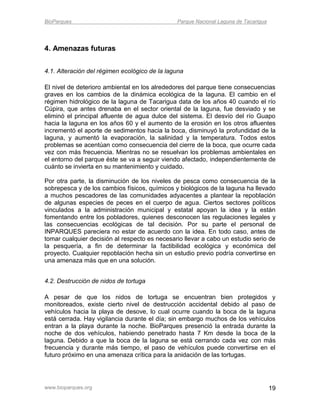 BioParques                                     Parque Nacional Laguna de Tacarigua




4. Amenazas futuras


4.1. Alteración del régimen ecológico de la laguna

El nivel de deterioro ambiental en los alrededores del parque tiene consecuencias
graves en los cambios de la dinámica ecológica de la laguna. El cambio en el
régimen hidrológico de la laguna de Tacarigua data de los años 40 cuando el río
Cúpira, que antes drenaba en el sector oriental de la laguna, fue desviado y se
eliminó el principal afluente de agua dulce del sistema. El desvío del río Guapo
hacia la laguna en los años 60 y el aumento de la erosión en los otros afluentes
incrementó el aporte de sedimentos hacia la boca, disminuyó la profundidad de la
laguna, y aumentó la evaporación, la salinidad y la temperatura. Todos estos
problemas se acentúan como consecuencia del cierre de la boca, que ocurre cada
vez con más frecuencia. Mientras no se resuelvan los problemas ambientales en
el entorno del parque éste se va a seguir viendo afectado, independientemente de
cuánto se invierta en su mantenimiento y cuidado.

Por otra parte, la disminución de los niveles de pesca como consecuencia de la
sobrepesca y de los cambios físicos, químicos y biológicos de la laguna ha llevado
a muchos pescadores de las comunidades adyacentes a plantear la repoblación
de algunas especies de peces en el cuerpo de agua. Ciertos sectores políticos
vinculados a la administración municipal y estatal apoyan la idea y la están
fomentando entre los pobladores, quienes desconocen las regulaciones legales y
las consecuencias ecológicas de tal decisión. Por su parte el personal de
INPARQUES pareciera no estar de acuerdo con la idea. En todo caso, antes de
tomar cualquier decisión al respecto es necesario llevar a cabo un estudio serio de
la pesquería, a fin de determinar la factibilidad ecológica y económica del
proyecto. Cualquier repoblación hecha sin un estudio previo podría convertirse en
una amenaza más que en una solución.


4.2. Destrucción de nidos de tortuga

A pesar de que los nidos de tortuga se encuentran bien protegidos y
monitoreados, existe cierto nivel de destrucción accidental debido al paso de
vehículos hacia la playa de desove, lo cual ocurre cuando la boca de la laguna
está cerrada. Hay vigilancia durante el día; sin embargo muchos de los vehículos
entran a la playa durante la noche. BioParques presenció la entrada durante la
noche de dos vehículos, habiendo penetrado hasta 7 Km desde la boca de la
laguna. Debido a que la boca de la laguna se está cerrando cada vez con más
frecuencia y durante más tiempo, el paso de vehículos puede convertirse en el
futuro próximo en una amenaza crítica para la anidación de las tortugas.




www.bioparques.org                                                                   19
 