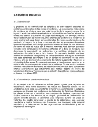 BioParques                                     Parque Nacional Laguna de Tacarigua




5. Soluciones propuestas


5.1. Sedimentación

El problema de la sedimentación es complejo y se debe resolver atacando los
problemas ambientales de las zonas circundantes. La consecuencia más notoria
del problema es el cierre cada vez más frecuente de la desembocadura de la
laguna. La solución definitiva sería el cierre del canal Madre Casañas, el cual fue
usado para desviar el curso del río Guapo hacia la laguna. Sin embargo, en vista
de que esta solución es improbable, otras alternativas que tiendan a restablecer el
curso original del agua deben ser consideradas. En varias oportunidades se ha
planteado el dragado de la boca como una solución, sin embargo es importante
que este dragado sea periódico ya que de otra manera el oleaje del mar terminaría
por cerrar la boca de nuevo con el material removido. Otra solución planteada
consiste en la construcción de barreras artificiales en la boca de la laguna que
disminuyan la acumulación de sedimentos y la periódica eliminación de los
sedimentos depositados en el lado interno. Es necesario también mantener
abiertos los canales de navegación y los caños que drenan a la laguna a través de
una poda controlada del mangle y de un control de crecimiento de los islotes
internos, a fin de disminuir el asentamiento de material suspendido y favorecer la
circulación de las aguas. Es necesario convocar a investigadores expertos en la
materia a fin de evaluar posibles soluciones al problema. En este sentido existe un
convenio realizado con el Instituto de Mecánica de Fluídos que sería conveniente
retomar aprovechando que actualmente este instituto dispone de fondos del
Ministerio de Ciencia y Tecnología para la solución de problemas relacionados con
el deslave ocurrido en 1999.


5.2. Contaminación con desechos sólidos

En el parque y en las adyacencias existen pocos lugares para depositar los
desperdicios. Una forma económica de reducir los desechos sólidos en los
alrededores de la boca es aumentando el número de contenedores y realizando
campañas de limpieza que involucren a los habitantes de Tacarigua. Respecto a
las playas, existe en la actualidad una campaña de limpieza organizada por
Fudena durante el Día Mundial de las Playas. Igualmente la Gobernación del
Estado Miranda convoca a voluntarios para limpiezas durante los picos de
visitantes. Es posible aprovechar el interés de la gobernación para convocar
voluntarios y realizar limpiezas más frecuentes, que involucren más personal
voluntario y la colaboración de las organizaciones ambientalistas y de los
empresarios de la región.




www.bioparques.org                                                                   21
 