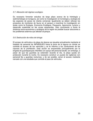 BioParques                                     Parque Nacional Laguna de Tacarigua


5.7. Alteración del régimen ecológico

Es necesario fomentar estudios de largo plazo acerca de la hidrología y
sedimentología en la laguna, así como la investigación en la biología y ecología de
las especies de peces de interés comercial. Igualmente se deben reforzar los
proyectos de monitoreo de fauna en el parque e incentivar la investigación en
áreas como la Ecología, Economía Ecológica, Pesquería, Agronomía, turismo y
desarrollo sostenible en las zonas adyacentes. Solo conociendo a fondo la
dinámica socio-económica y ecológica de la región es posible buscar soluciones a
los problemas externos que afectan al parque.


5.8. Destrucción de nidos de tortuga

El acceso de vehículos a la playa de desove se resuelve actualmente mediante el
traslado de personal de INPARQUES hacia la boca de la laguna en donde se
controla el acceso de los vehículos y se le informa a los conductores de las
razones de la prohibición. Esta acción es emprendida principalmente por la
brigada de guardaparques infantiles con apoyo del personal adulto; sin embargo, a
pesar de que las guardias se extienden durante el día, la playa queda sin
protección durante la noche. Es necesario construir un puesto de vigilancia con
personal fijo y guardias nocturnas; y de ser posible, cerrar el acceso mediante
cercado con una alcabala que controle el paso de vehículos.




www.bioparques.org                                                                   23
 