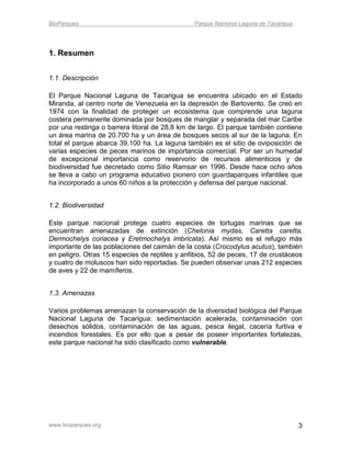 BioParques                                     Parque Nacional Laguna de Tacarigua




1. Resumen


1.1. Descripción

El Parque Nacional Laguna de Tacarigua se encuentra ubicado en el Estado
Miranda, al centro norte de Venezuela en la depresión de Barlovento. Se creó en
1974 con la finalidad de proteger un ecosistema que comprende una laguna
costera permanente dominada por bosques de manglar y separada del mar Caribe
por una restinga o barrera litoral de 28,8 km de largo. El parque también contiene
un área marina de 20.700 ha y un área de bosques secos al sur de la laguna. En
total el parque abarca 39.100 ha. La laguna también es el sitio de oviposición de
varias especies de peces marinos de importancia comercial. Por ser un humedal
de excepcional importancia como reservorio de recursos alimenticios y de
biodiversidad fue decretado como Sitio Ramsar en 1996. Desde hace ocho años
se lleva a cabo un programa educativo pionero con guardaparques infantiles que
ha incorporado a unos 60 niños a la protección y defensa del parque nacional.


1.2. Biodiversidad

Este parque nacional protege cuatro especies de tortugas marinas que se
encuentran amenazadas de extinción (Chelonia mydas, Caretta caretta,
Dermochelys coriacea y Eretmochelys imbricata). Así mismo es el refugio más
importante de las poblaciones del caimán de la costa (Crocodylus acutus), también
en peligro. Otras 15 especies de reptiles y anfibios, 52 de peces, 17 de crustáceos
y cuatro de moluscos han sido reportadas. Se pueden observar unas 212 especies
de aves y 22 de mamíferos.


1.3. Amenazas

Varios problemas amenazan la conservación de la diversidad biológica del Parque
Nacional Laguna de Tacarigua: sedimentación acelerada, contaminación con
desechos sólidos, contaminación de las aguas, pesca ilegal, cacería furtiva e
incendios forestales. Es por ello que a pesar de poseer importantes fortalezas,
este parque nacional ha sido clasificado como vulnerable.




www.bioparques.org                                                                   3
 