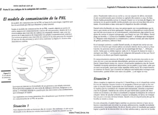 PNL for dummies.pdf