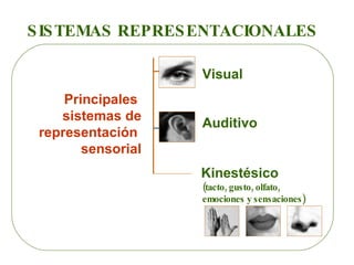 Principales  sistemas de representación  sensorial SISTEMAS REPRESENTACIONALES (tacto, gusto, olfato,  emociones y  sensaciones) Visual  Auditivo Kinestésico 