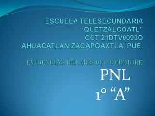 PNL
1° “A”
 