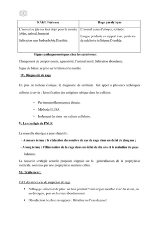 4
Signes pathognomoniques chez les carnivores:
Changement de comportement, agressivité, l’animal mord. Salivation abondante.
Signe du bâton: se jette sur le bâton et le mordre
IV. Diagnostic de rage
En plus de tableau clinique, le diagnostic de certitude fait appel à plusieurs techniques
utilisées à savoir : Identification des antigènes rabique dans les cellules:
 Par immunofluorescence directe.
 Méthode ELISA.
 Isolement du virus sur culture cellulaire.
V. La stratégie de PNLR
La nouvelle stratégie a pour objectifs :
- A moyen terme : la réduction du nombre de cas de rage dans un délai de cinq ans ;
- A long terme : l'élimination de la rage dans un délai de dix ans et le maintien du pays
Indemne.
La nouvelle stratégie actuelle proposée s'appuie sur la généralisation de la prophylaxie
médicale, soutenue par une prophylaxie sanitaire ciblée.
VI. Traitement :
CAT devant en cas de suspicion de rage
 Nettoyage immédiat de plaie. on lave pendant 5 min région mordue avec du savon, ou
un détergent, puis on la rince abondamment.
 Désinfection de plaie en urgence : Bétadine ou l’eau du javel.
RAGE Furieuse Rage paralytique
L’animal se jeté sur tout objet pour le mordre
(objet, animal, humain)
Salivation sans hydrophobie.Diarrhée.
L’animal cesse d’aboyer, solitude.
Langue pendante en rapport avec paralexie
de mâchoire inférieure.Diarrhée.
 