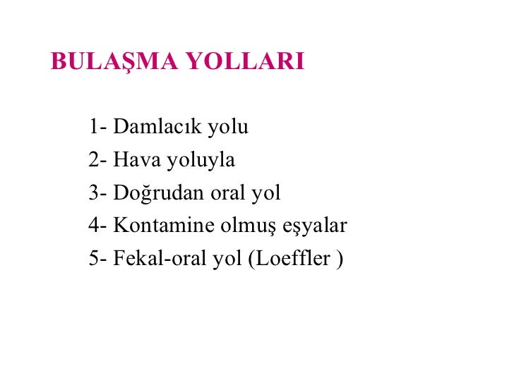 Fekal oral Fekal oral