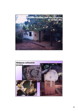 ( *   #   )       #(
                   )        C




           +
A   /B




                                10
 