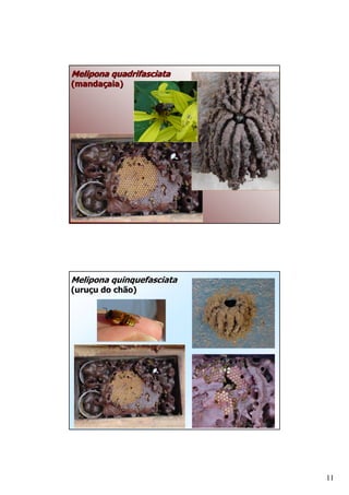 <     + )
A#       / B




          <    < + )
A    /    ) B
           *




                       11
 