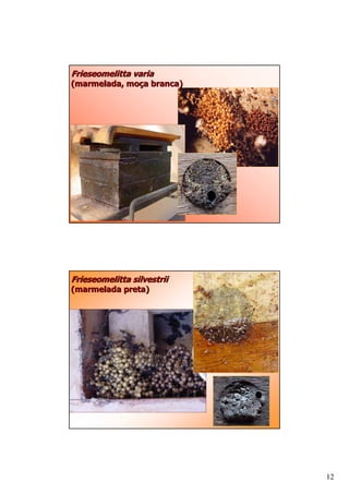 D      #
A# #       # / (   )B




D      #
A# #         B




                        12
 