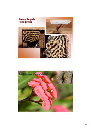 )       .
A? @    B




"   .   )   .   A? @
                   B




                       13
 