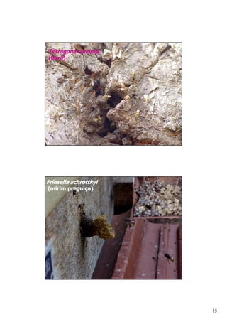 "   .    )
A( 1B




D       )*   E=
A# #    . /B




                  15
 