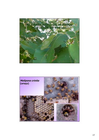 +       # 3 )
                    5    ( *
         #   )            C




         )
A   /B




                               17
 