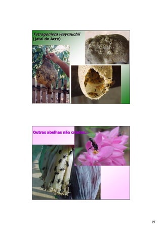 "    .    )F =   )*
A?        ) B




         ( *     )    4
                      44




                           19
 