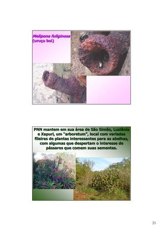 + .
A       / ( B




         #      # #   1       #     36
        8        #G (   #H ) ) #
                        #H
    +                              ( *
        )#     .# <        #
             1    < )# #       #   4




                                         21
 