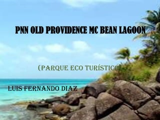 PNN OLD PROVIDENCE MC BEAN LAGOON (Parque eco turístico) Luis Fernando Diaz 