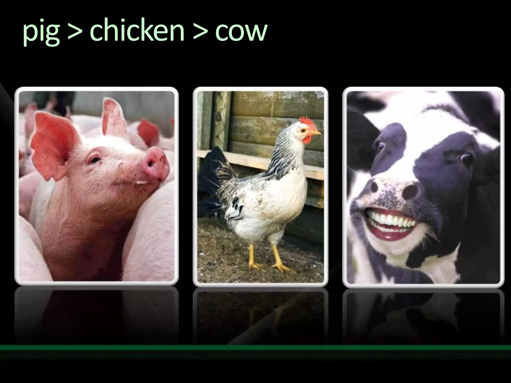 Pnp Agile Tech Ed India