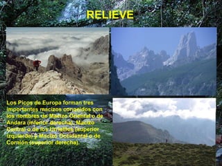 Los Picos de Europa forman tres importantes macizos conocidos con los nombres de Macizo Oriental o de Andara (inferior derecha), Macizo Central o de los Urriellles (superior izquierda) y Macizo Occidental o de Cornión (superior derecha).   RELIEVE 