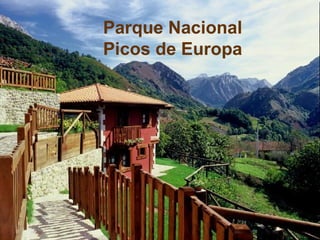 Parque Nacional Picos de Europa 