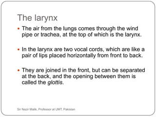 The larynx
      The air from the lungs comes through the wind
        pipe or trachea, at the top of which is the larynx.

      In the larynx are two vocal cords, which are like a
        pair of lips placed horizontally from front to back.

      They are joined in the front, but can be separated
        at the back, and the opening between them is
        called the glottis.



10   Sir Nazir Malik, Professor at UMT, Pakistan
 