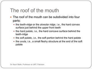 The roof of the mouth
      The roof of the mouth can be subdivided into four
        parts:
          the teeth-ridge or the alveolar ridge, i.e., the hard convex
           surface just behind the upper front teeth
          the hard palate, i.e., the hard concave surface behind the
           teeth-ridge
          the soft palate, i.e., the soft portion behind the hard palate
          the uvula, i.e., a small fleshy structure at the end of the soft
           palate




11   Sir Nazir Malik, Professor at UMT, Pakistan
 