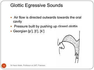 Glottic Egressive Sounds

      Air flow is directed outwards towards the oral
       cavity
      Pressure built by pushing up closed glottis
      Georgian [p’], [t’], [k’]




14   Sir Nazir Malik, Professor at UMT, Pakistan
 