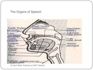 The Organs of Speech




9   Sir Nazir Malik, Professor at UMT, Pakistan
 