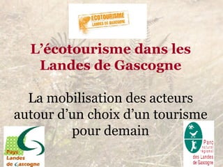 L’écotourisme dans les Landes de Gascogne La mobilisation des acteurs autour d’un choix d’un tourisme pour demain 