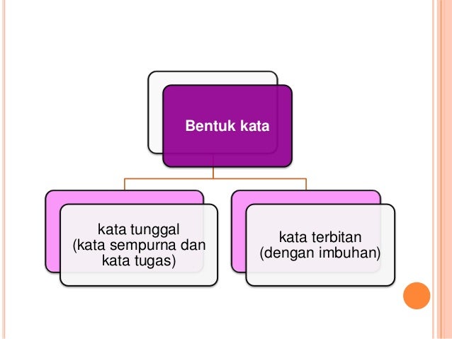 Pn raminah morfologi