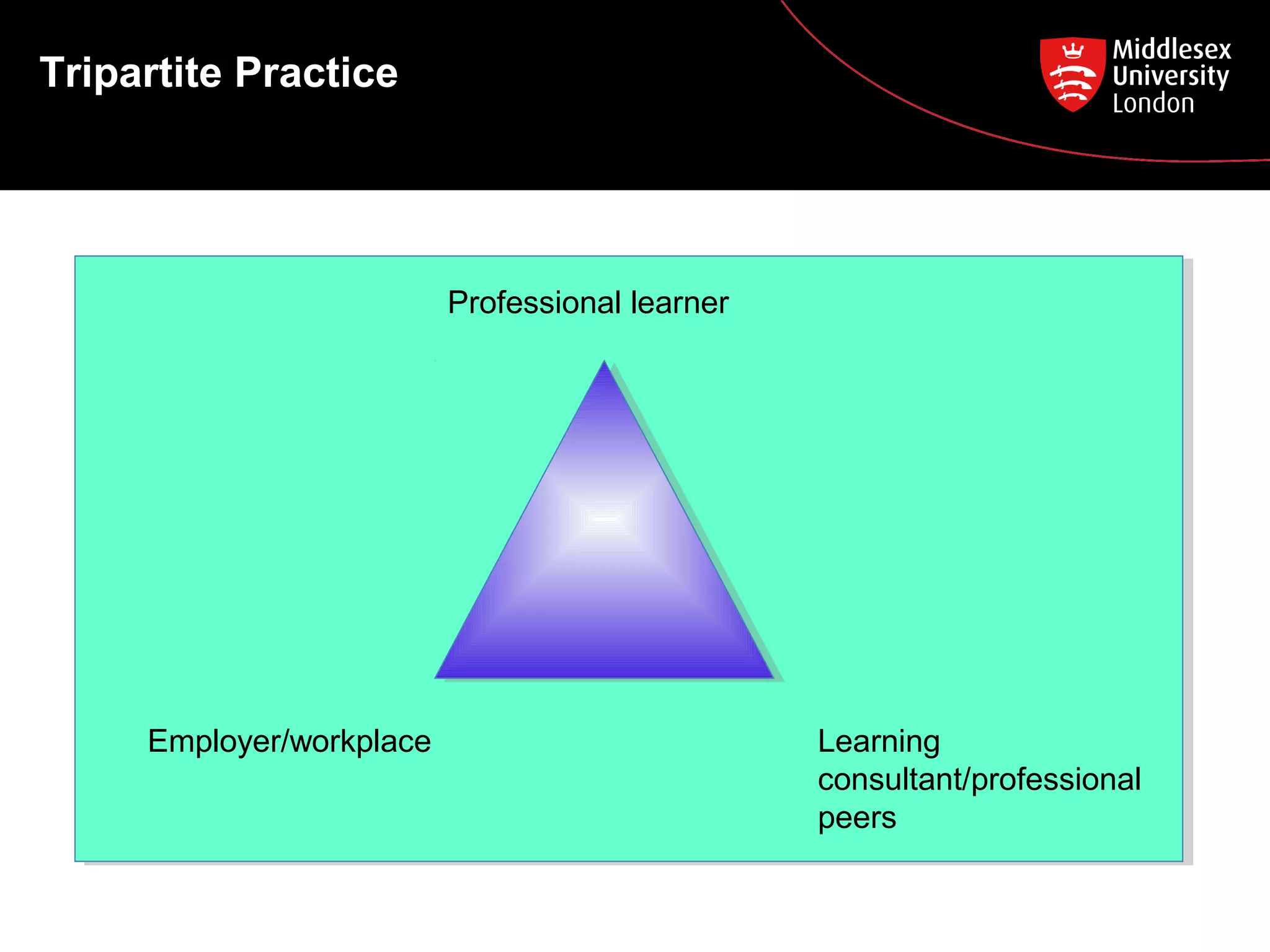 Tripartite Practice

Professional learner

Employer/workplace

Learning
consultant/professional
peers

 
