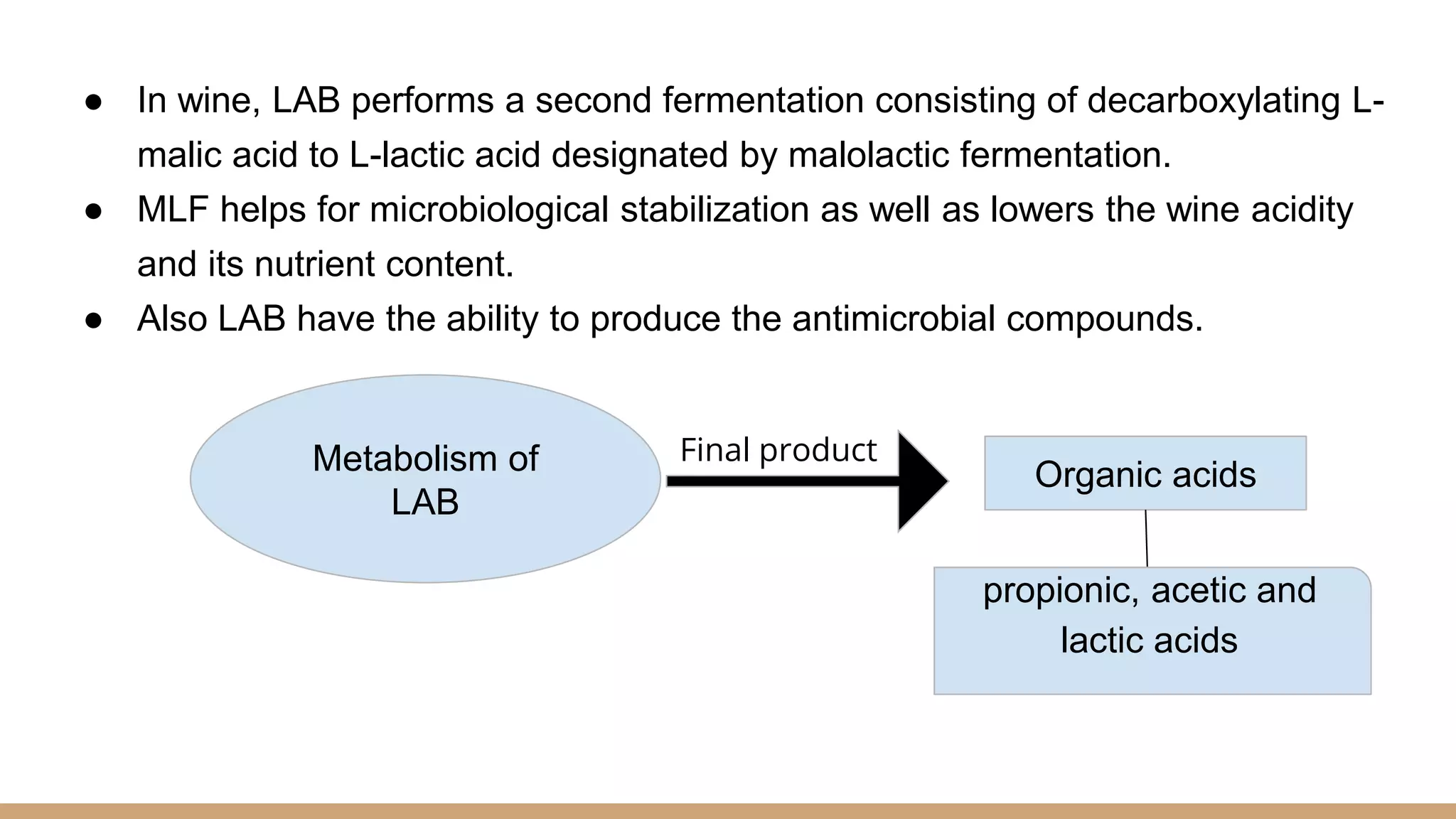● In wine, LAB performs a second fermentation consisting of decarboxylating L-
malic acid to L-lactic acid designated by malolactic fermentation.
● MLF helps for microbiological stabilization as well as lowers the wine acidity
and its nutrient content.
● Also LAB have the ability to produce the antimicrobial compounds.
Metabolism of
LAB
Final product
Organic acids
propionic, acetic and
lactic acids
 