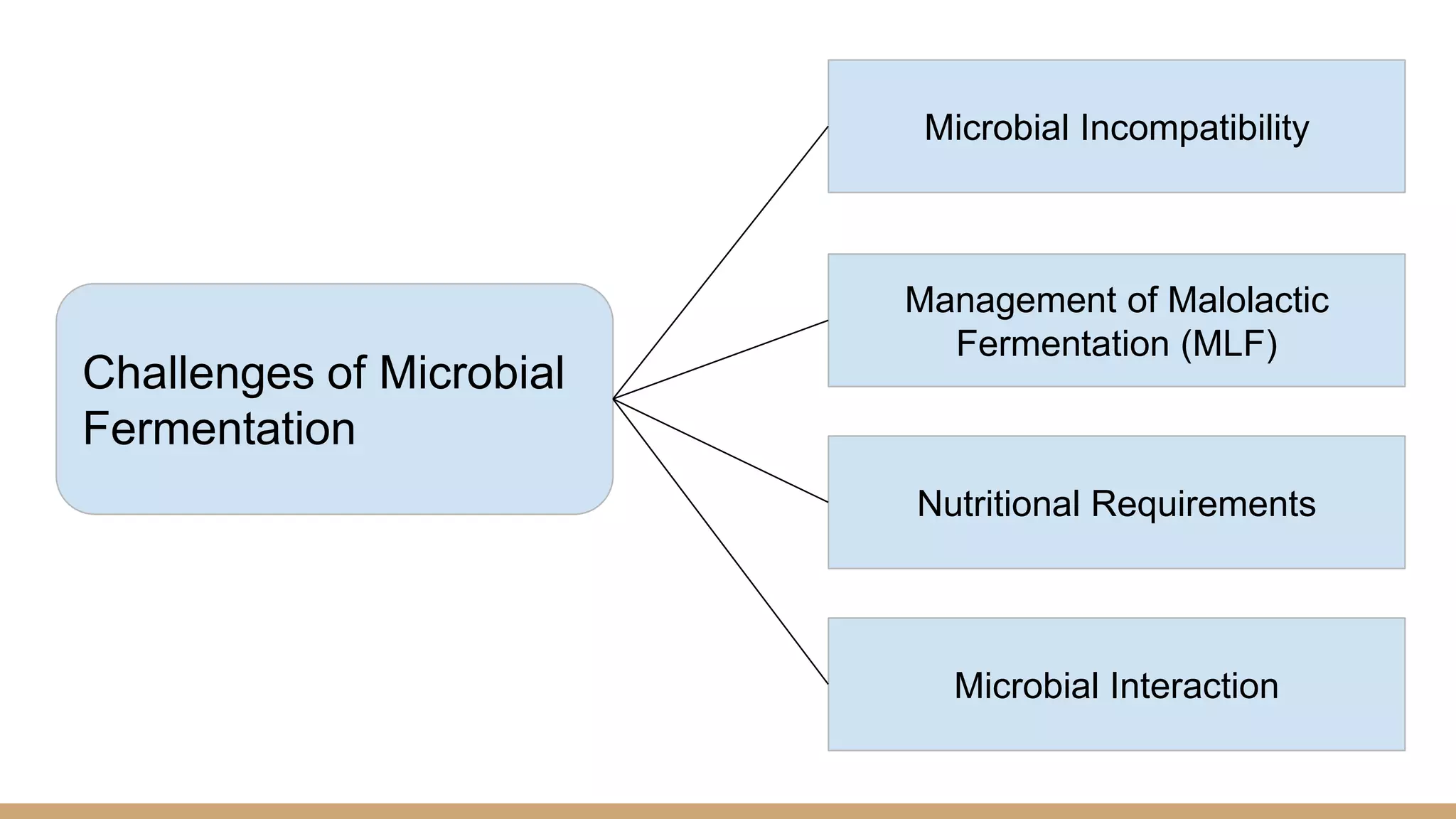 Challenges of Microbial
Fermentation
Microbial Incompatibility
Management of Malolactic
Fermentation (MLF)
Nutritional Requirements
Microbial Interaction
 