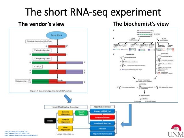 correcting bias and variation in small rna sequencing for optimal microrna biomarker discovery and validation in cardio metabolic and renal disease