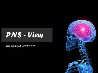 PNS - View
Dr.NeeNa MuNeer
 