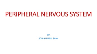 PERIPHERAL NERVOUS SYSTEM
BY
SONI KUMARI SHAH
 