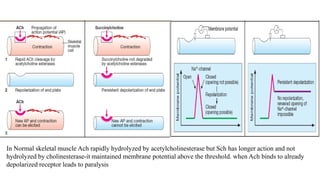 SKELETAL MUSCLE RELAXANTS | PPTX
