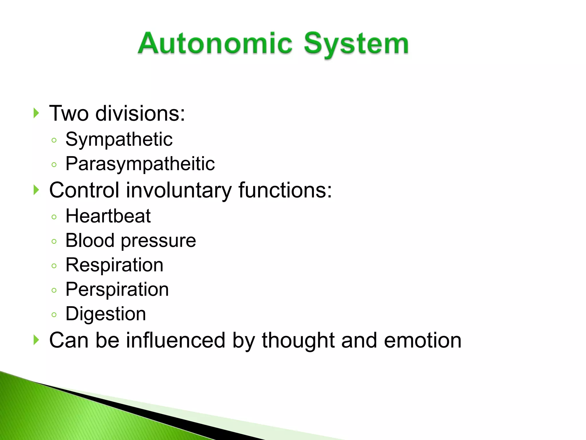 Two divisions:   Sympathetic Parasympatheitic Control involuntary functions: Heartbeat Blood pressure Respiration Perspiration Digestion Can be influenced by thought and emotion 
