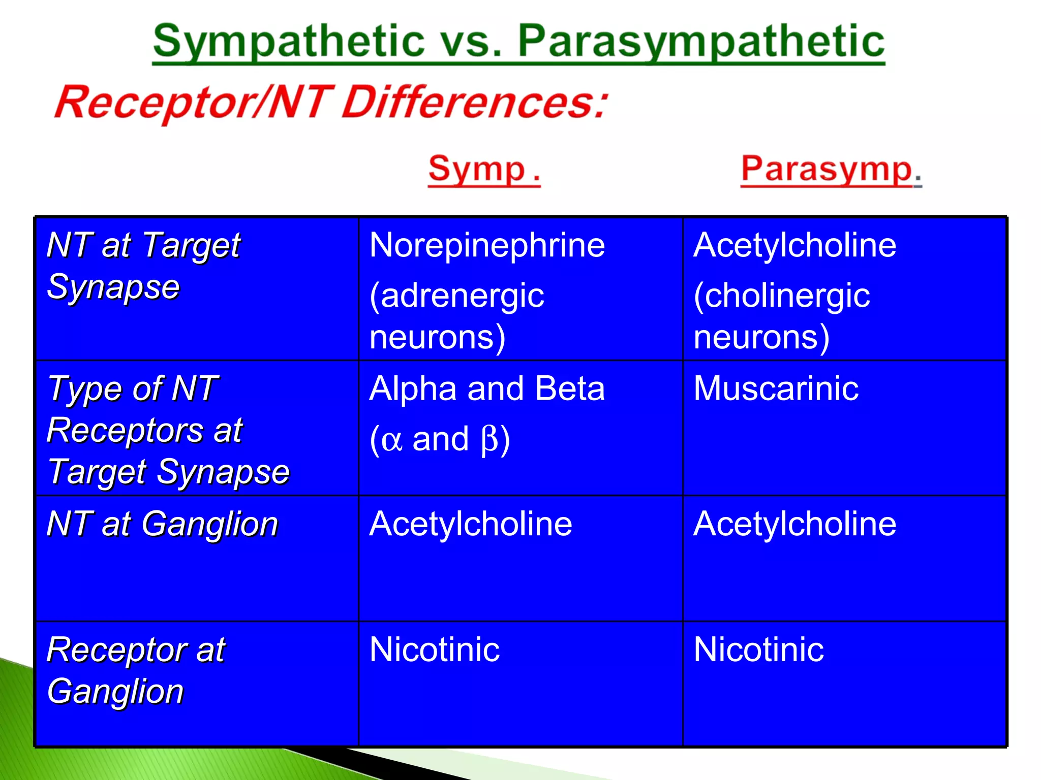 NT at Target Synapse Norepinephrine (adrenergic neurons) Acetylcholine (cholinergic neurons) Type of NT Receptors at Target Synapse Alpha and Beta (   and   ) Muscarinic NT at Ganglion Acetylcholine Acetylcholine Receptor at Ganglion Nicotinic Nicotinic 