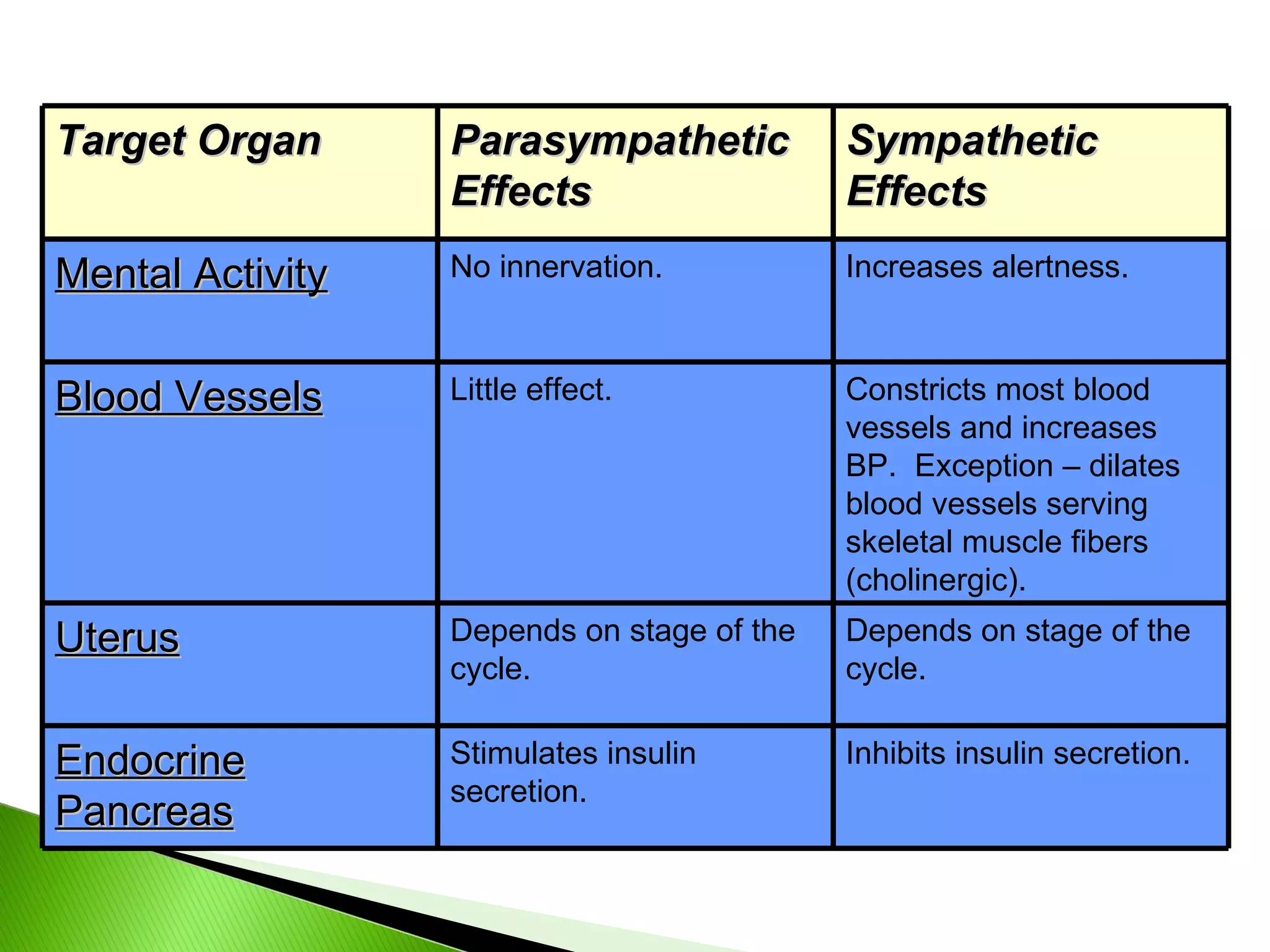 Target Organ Parasympathetic Effects Sympathetic Effects Mental Activity No innervation. Increases alertness. Blood Vessels Little effect. Constricts most blood vessels and increases BP.  Exception – dilates blood vessels serving skeletal muscle fibers (cholinergic). Uterus Depends on stage of the cycle. Depends on stage of the cycle. Endocrine Pancreas Stimulates insulin secretion. Inhibits insulin secretion. 