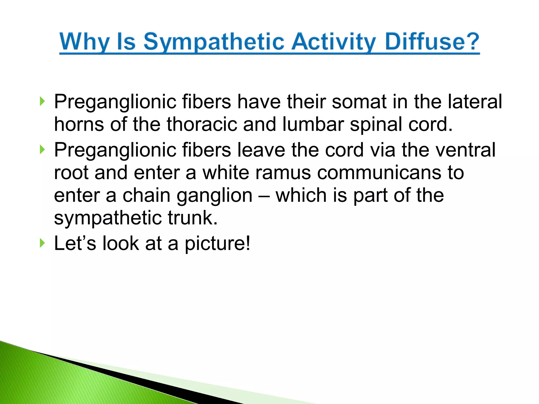 Preganglionic fibers have their somat in the lateral horns of the thoracic and lumbar spinal cord. Preganglionic fibers leave the cord via the ventral root and enter a white ramus communicans to enter a chain ganglion – which is part of the sympathetic trunk. Let’s look at a picture! 