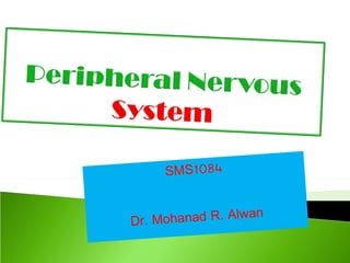 SMS1084 Dr. Mohanad R. Alwan 
