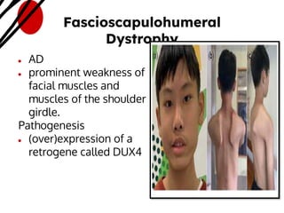 Retrogene PNS-AND-SKELETAL-MUSCLES.please do not forget .pdf