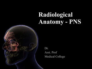 Radiological Anatomy - PNS Dr. Asst. Prof Medical College 