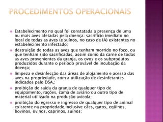  Estabelecimento no qual foi constatada a presença de uma 
ou mais aves afetadas pela doença: sacrifício imediato no 
local de todas as aves (e suínos, no caso de IA) existentes no 
estabelecimento infectado; 
 destruição de todas as aves que tenham morrido no foco, ou 
que tenham sido sacrificadas, assim como da carne de todas 
as aves provenientes da granja, os ovos e os subprodutos 
produzidos durante o período provável de incubação da 
doença; 
 limpeza e desinfecção das áreas de alojamento e acesso das 
aves na propriedade, com a utilização de desinfetantes 
indicados pelo DSA,; 
 proibição de saída da granja de qualquer tipo de 
equipamento, rações, cama de aviário ou outro tipo de 
material utilizado na produção avícola; 
 proibição do egresso e ingresso de qualquer tipo de animal 
existente na propriedade,inclusive cães, gatos, eqüinos, 
bovinos, ovinos, caprinos, suínos; 
 