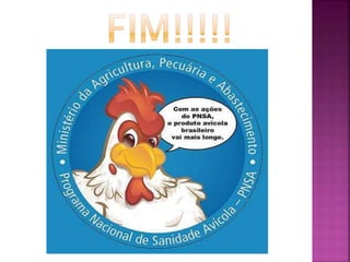 Programa Nacional de Seguridade Aviaria - PNSA