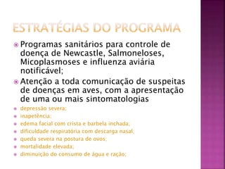  Programas sanitários para controle de 
doença de Newcastle, Salmoneloses, 
Micoplasmoses e influenza aviária 
notificável; 
 Atenção a toda comunicação de suspeitas 
de doenças em aves, com a apresentação 
de uma ou mais sintomatologias 
 depressão severa; 
 inapetência; 
 edema facial com crista e barbela inchada; 
 dificuldade respiratória com descarga nasal; 
 queda severa na postura de ovos; 
 mortalidade elevada; 
 diminuição do consumo de água e ração; 
 