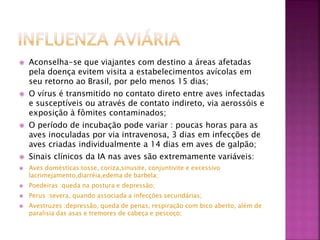  Aconselha-se que viajantes com destino a áreas afetadas 
pela doença evitem visita a estabelecimentos avícolas em 
seu retorno ao Brasil, por pelo menos 15 dias; 
 O vírus é transmitido no contato direto entre aves infectadas 
e susceptíveis ou através de contato indireto, via aerossóis e 
exposição à fômites contaminados; 
 O período de incubação pode variar : poucas horas para as 
aves inoculadas por via intravenosa, 3 dias em infecções de 
aves criadas individualmente a 14 dias em aves de galpão; 
 Sinais clínicos da IA nas aves são extremamente variáveis: 
 Aves domésticas:tosse, coriza,sinusite, conjuntivite e excessivo 
lacrimejamento,diarréia,edema de barbela; 
 Poedeiras :queda na postura e depressão; 
 Perus :severa, quando associada a infecções secundárias; 
 Avestruzes :depressão, queda de penas, respiração com bico aberto, além de 
paralisia das asas e tremores de cabeça e pescoço; 
 