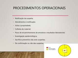 PROCEDIMENTOS OPERACIONAIS
• Notificação da suspeita;
• Atendimento à notificação;
• Visita à propriedade;
• Colheita de material;
• Fluxo de encaminhamento de amostras e resultados laboratoriais;
• Investigação epidemiológica;
• Sacrifício preventivo das aves suspeitas;
• Da confirmação ou não das suspeitas;
 