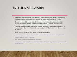 INFLUENZA AVIÁRIA
• Aconselha-se que viajantes com destino a áreas afetadas pela doença evitem visita a
estabelecimentos avícolas em seu retorno ao Brasil, por pelo menos 15 dias;
• O vírus é transmitido no contato direto entre aves infectadas e susceptíveis ou
através de contato indireto, via aerossóis e exposição à fômites contaminados;
• O período de incubação pode variar : poucas horas para as aves inoculadas por via
intravenosa, 3 dias em infecções de aves criadas individualmente a 14 dias em aves
de galpão;
• Sinais clínicos da IA nas aves são extremamente variáveis:
• Aves domésticas:tosse, coriza,sinusite, conjuntivite e excessivo lacrimejamento,diarréia,edema de barbela;
• Poedeiras :queda na postura e depressão;
• Perus :severa, quando associada a infecções secundárias;
• Avestruzes :depressão, queda de penas, respiração com bico aberto, além de paralisia das asas e tremores de
cabeça e pescoço;
 