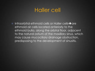 Haller cell
 Infraorbital ethmoid cells or Haller cellsare

ethmoid air cells located anteriorly to the
ethmoid bulla, along the orbital floor, adjacent
to the natural ostium of the maxillary sinus, which
may cause mucociliary drainage obstruction,
predisposing to the development of sinusitis.

 