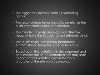  The agger nasi develop from its ascending

portion.

 The second ridge forms the bulla lamella, or the

bulla ethmoidalis when pneumatized.

 The middle turbinate develops from the third

ridge, which is the first permanent ethmoturbinal.

 The fourth ridge, the second permanent

ethmoturbinal, forms the superior turbinate.

 Based upon this, variations in development and

pneumatization of the ethmoturbinals may lead
to anatomical variations within the bony
structures of the ethmoidal complex.

 