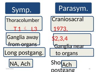 Symp.
Thoracolumber
T 1  L3
Ganglia away
from organs
Long postgang.
Craniosacral
1973,
S2,3,4
Ganglia near
to organs
Short
NA, Ach Ach
13/07/2010 16
Parasym.
 